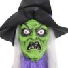 Haunted Hill Farm HHWITCH-39HLS - 11